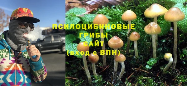 тгк Алексин