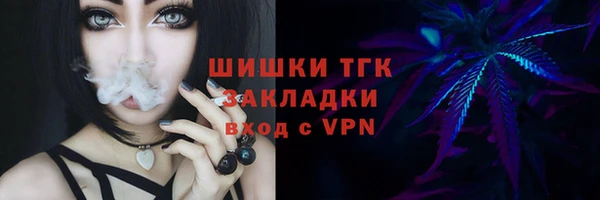 тгк Алексин