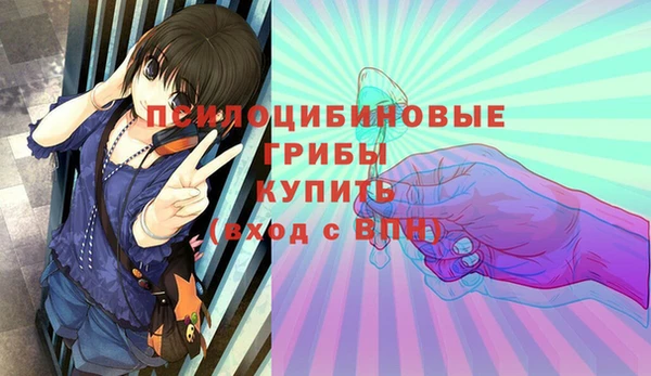 тгк Алексин